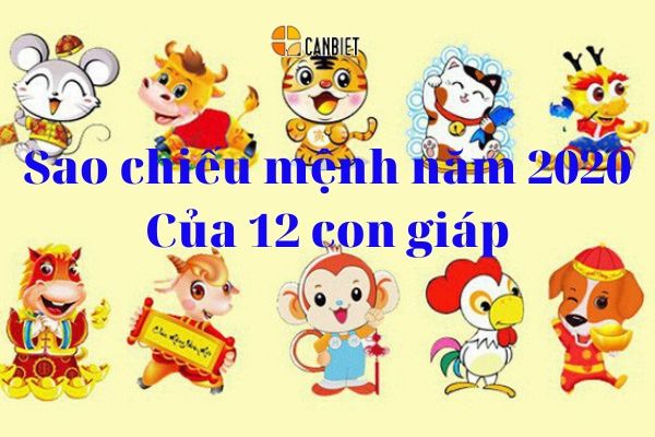 12 con giap sao chieu menh 2020 canh ty