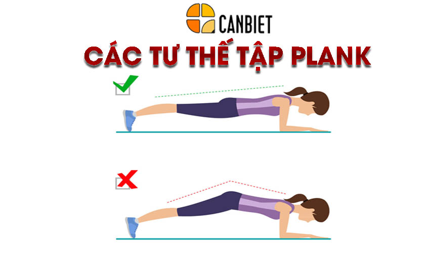 tư thế tập plank